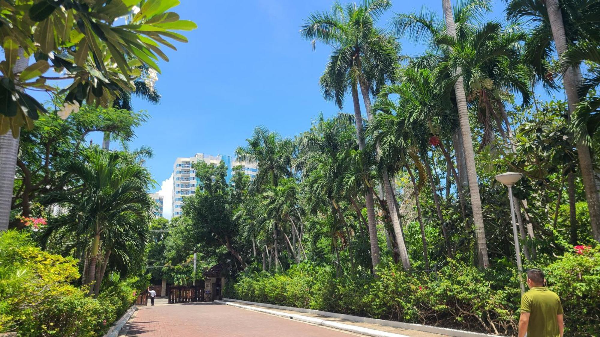 Coralpoint Gardens Suites & Residences Lapu-Lapu City Dış mekan fotoğraf